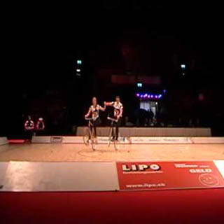 MS Basel 2013
